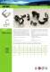Polyamide Conduits and Fittings