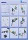 F.P7.51   -  Drilling units - EUROMA