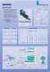 F.MUP10.60   -  Drill-Tap units - EUROMA