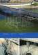 Machines for sludge treatment