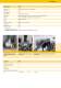 Plastering machines, screed pumps and fine concrete pumps. Catalogue 2011/2012 - Putzmeister