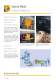 Putzmeister Solid Pumps - Clean and economical solutions for conveying different types of materials - Putzmeister