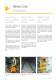 Putzmeister Solid Pumps - Clean and economical solutions for conveying different types of materials - Putzmeister