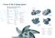 Fristam centrifugal pumps FP - FRISTAM