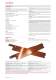 Catalogue Silicone Heaters & Heating Foils - Winkler