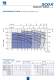 CENTRIFUGAL PUMPS - TWIN IMPELLER - EBARA PUMPS EUROPE