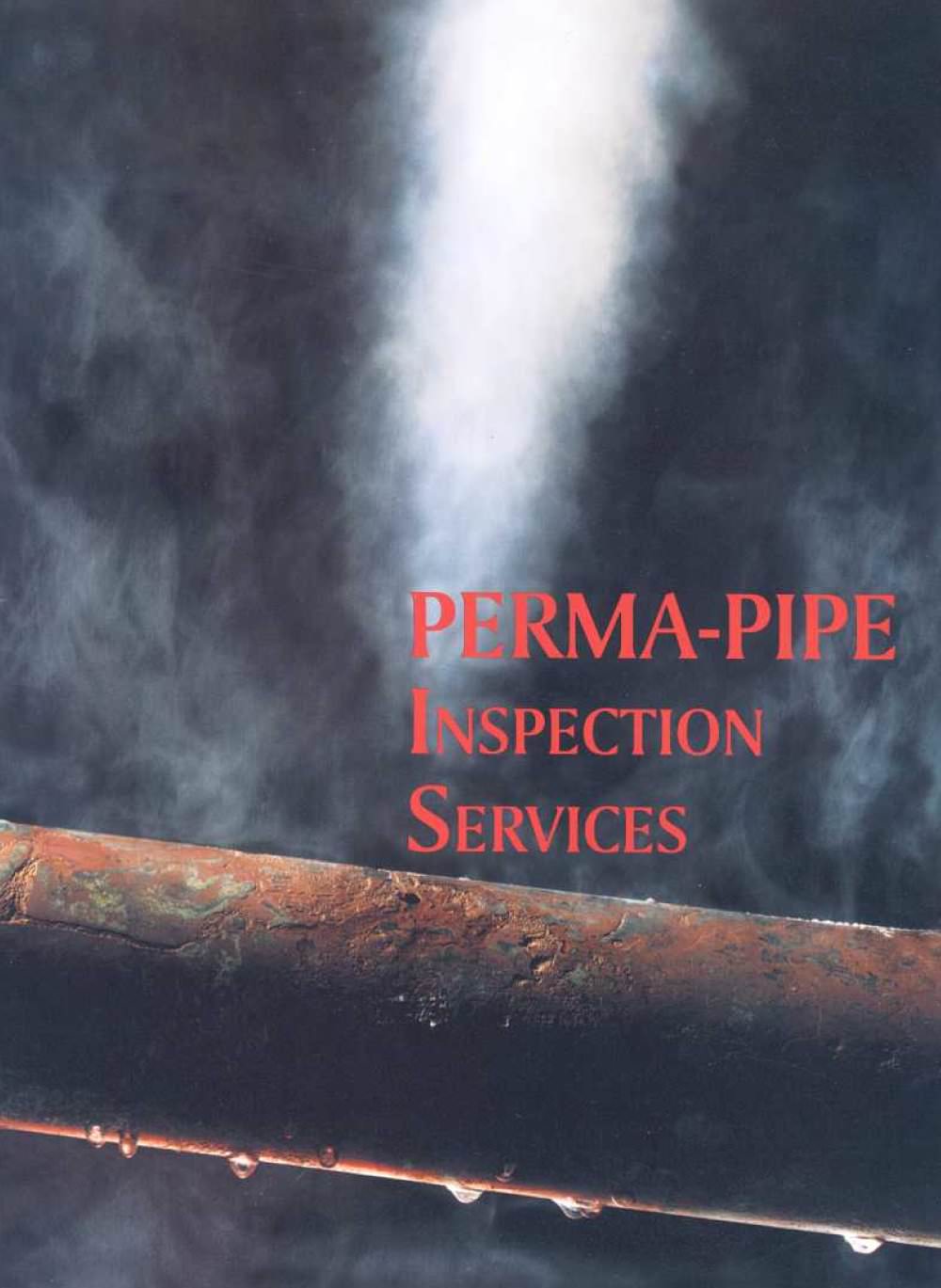 PERMA-PIPE INSPECTION SERVICES - PERMA PIPE