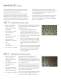FLEXITRAY� Valve Trays - Koch-Glitsch
