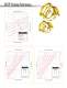 IMTP� High Performance Packing - Koch-Glitsch