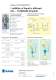 Rotospray� - Micro-spraying system - Amandus Kahl