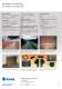Waste Tyre Recycling Plants - Amandus Kahl