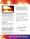 Sidewall Horn Igniter Firing System - Coen