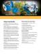Viking Pump - Form351_rev A - Biofuels Industry Brochure - Viking Pump