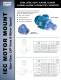 Viking Pump - Form225_rev B - IEC Motor Bracket Flyer.pdf
