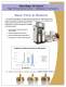 Rf&nbsp;Gold&nbsp;Large&nbsp;Columns&nbsp;Flyer