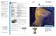 GR-3  	G3 ENABLED GNSS RECEIVER - TOPCON