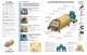 TP-L4 series  	PIPE LASER - TOPCON