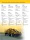 Terrain Leveler Brochure - Vermeer Manufacturing