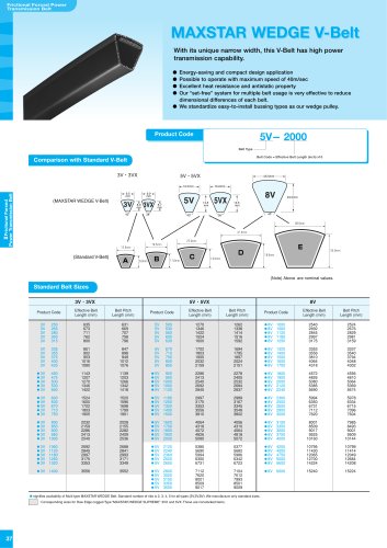 Industrial Power Transmission Products, Conveyor Belts, Engineering Plastics