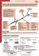 Vulcanic Catalogue : Electrical Heating and Cooling solutions for industry - Vulcanic