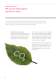 Corporate Brochure - NSK Europe