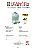 Explosion Proof-Absolute Flange Size:�78 mm or 161x100x100 mm Shaft and Hollow Shaft