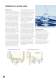 ENVIRONMENTAL POLICY - Trelleborg Wheel Systems