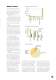 ENVIRONMENTAL POLICY - Trelleborg Wheel Systems