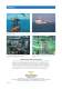 Teguflex� S - Trelleborg Expansion Joints