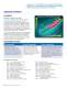 8-bit PIC� Microcontrollers - Microchip Technology