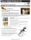 IEC 60320 Lockout - Reece Safety Products