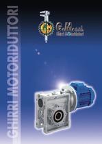Worm gear unit and geared motors MV MV/V/MCV Series