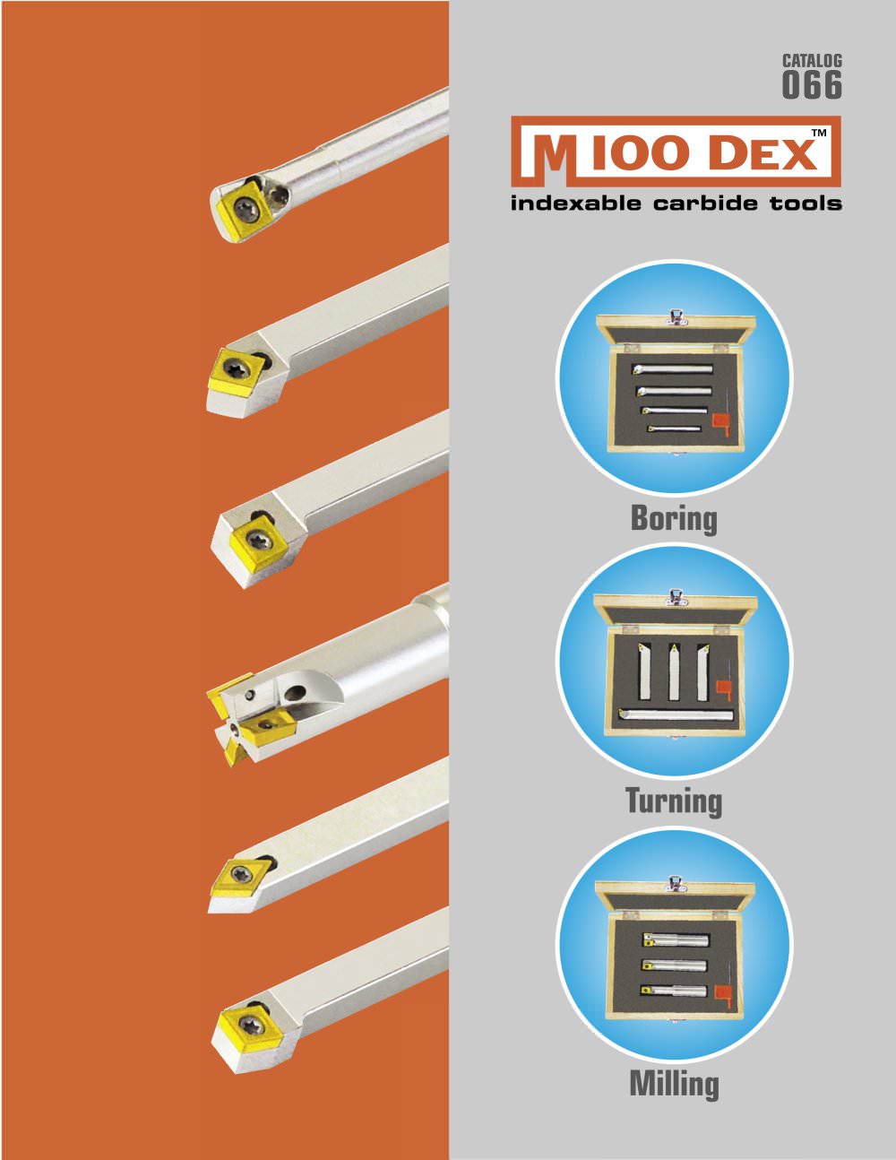 M100Dex Indexable Carbide Tools Catalog - MICRO 100