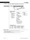 TM1 & TM2 - Wilden Pump