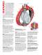 SERIES 32/33/35/36  Large Diameter  Resilient Seated - Bray International