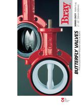PTFE and Elastomer Molded  Discs and Seats