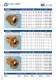 Katalog TOF - EFFEBI