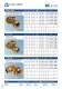 Katalog TOF - EFFEBI