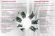 CompactPCI� Goes Serial !