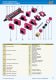 Catalogue 2003 - Conforti Oleodinamica