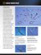 Short Form Catalog - Durex Industries