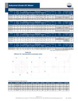 Industrial Brushed DC Motor Catalog
