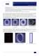 From 2D-3D CAD to FEM Analysis - The Development of an Application at RKB - RKB Europe