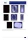 From 2D-3D CAD to FEM Analysis - The Development of an Application at RKB - RKB Europe