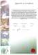 RKB India Certificate of Registration ISO 27001 - RKB Europe