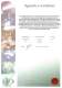 RKB India Certificate of Registration ISO 14001