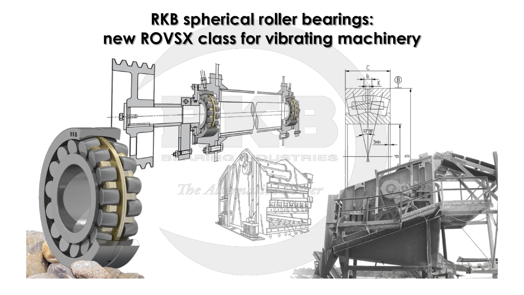 RKB ROVSX for Vibrating Machinery - RKB Europe