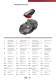 C-PVC TemperFIP 100 System - FIP - Formatura Iniezione Polimeri