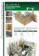 PALLETIZERS FOR CASES AND BUNDLES - CLEVERTECH