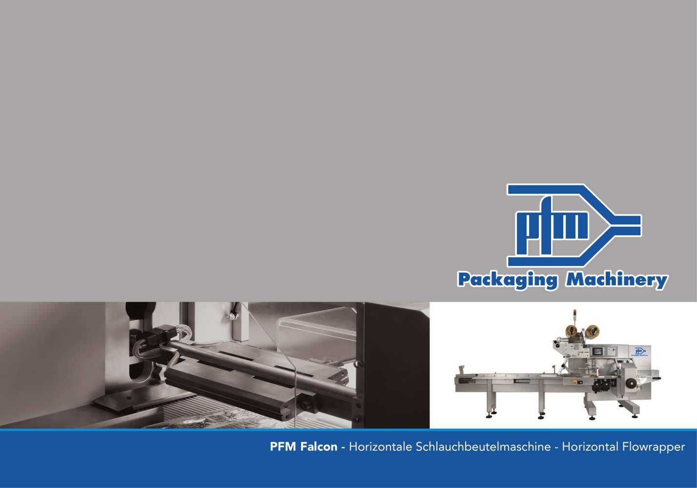 FALCON GB-802179 byte - PFM Packaging Machinery